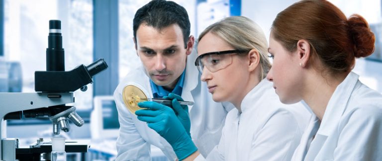 Fernstudium Landwirtschaft und Agrarwissenschaften | berufsbegleitend